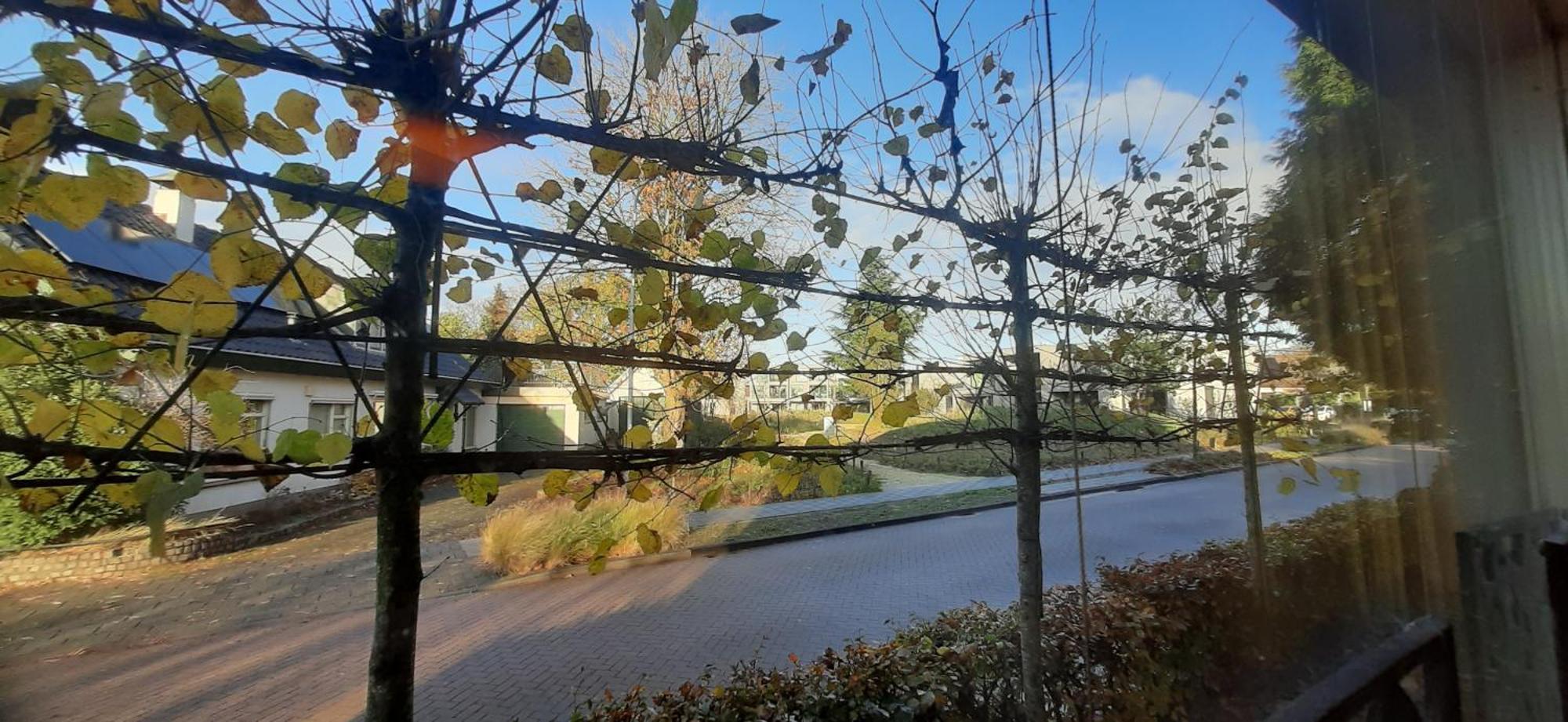 B & B De Groene Slaper Silvolde Esterno foto